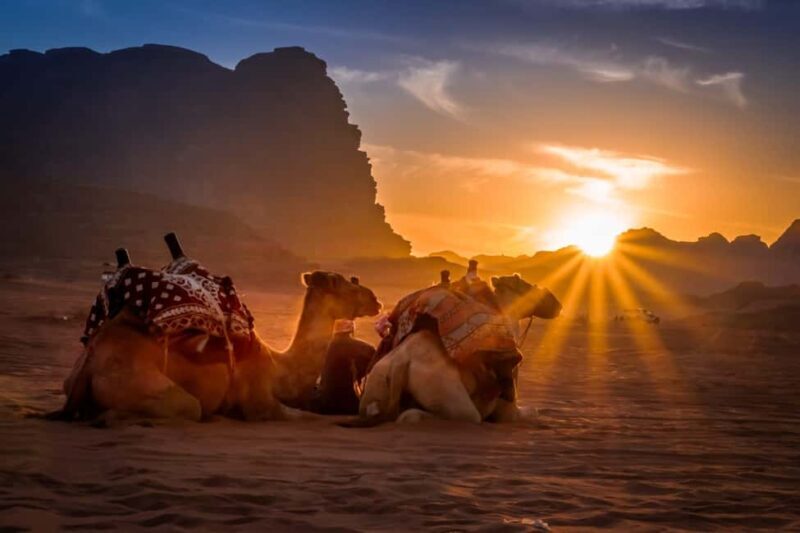 Salalah: Sunset Desert Safari Adventure in Empty Quarter - An Authentic Look at the Desert Adventure