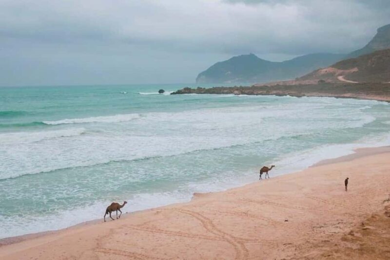 Salalah:Fazayah Beach of the Indian Ocean and Mughsail Beach - Deep Dive into Each Stop