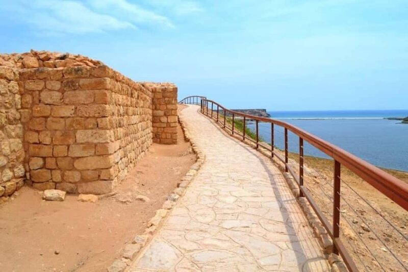 Salalah's Hidden Gems: East & West Adventure - Final Thoughts: Who Will Love This Tour?