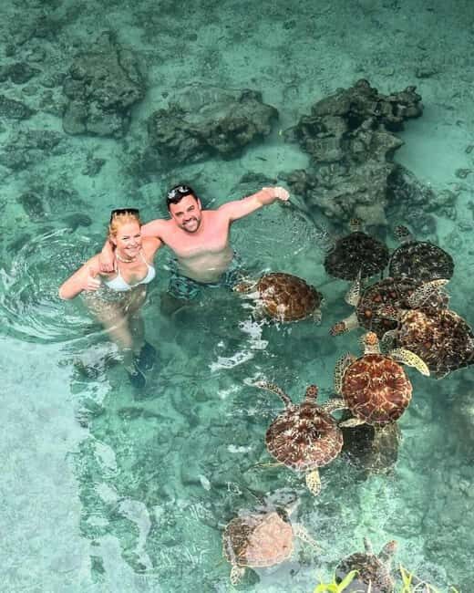 Salam Cave, Blue Lagon, Starfish Beach & The Rock Restaurant - Why Choose This Tour?