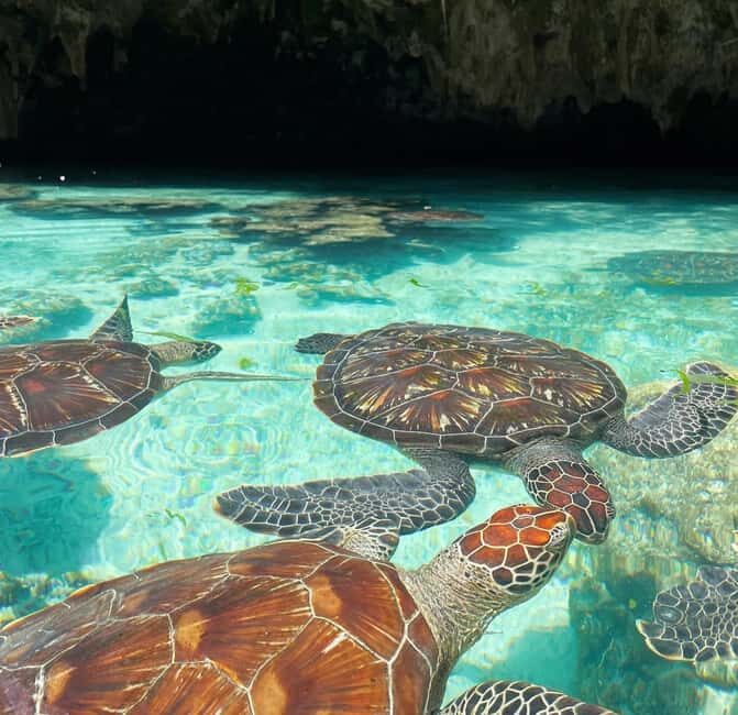 Salam cave turles swimming, paje beach , the Rock Restaurant - Final Thoughts