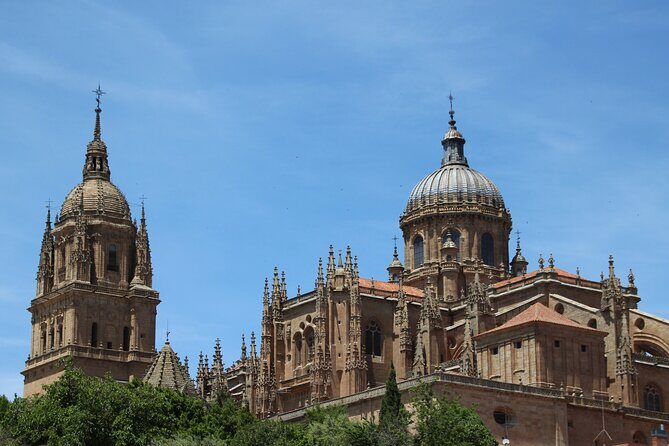 Salamanca Like a Local: Customized Private Tour - Authenticity and the Reviewers Perspective