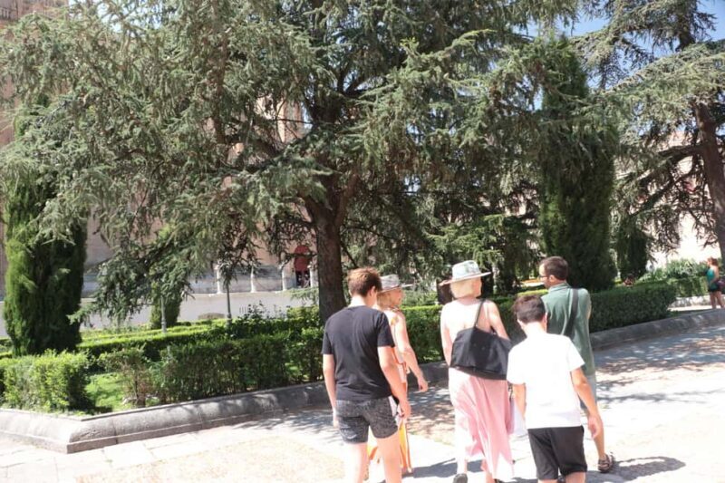 Salamanca: Private Walking Tour with a Local - Key Points