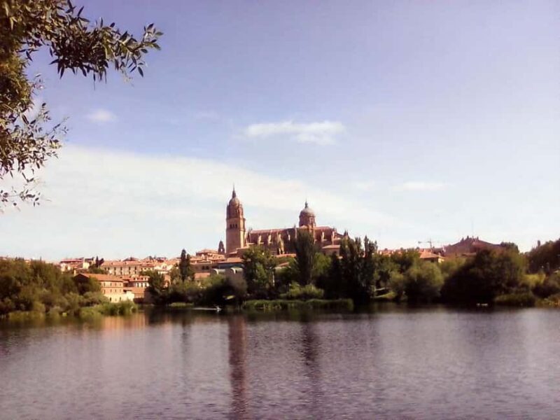 Salamanca: Private Walking Tour with a Local - Discover Salamanca: A Personalized Approach