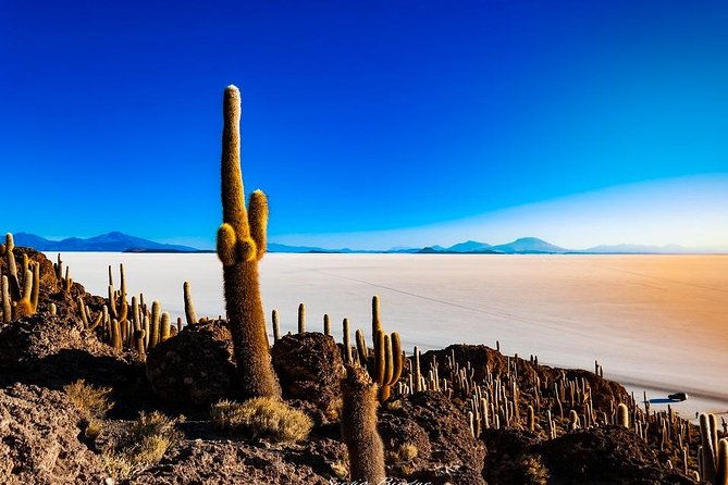 salar-de-uyuni-1-day-spanish-speaking-guide