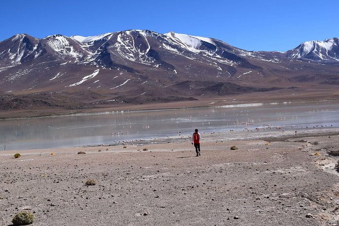 salar-de-uyuni-3-days-2nights-english-guide