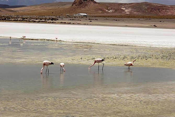 salar-de-uyuni-and-colored-lagoons-tours-3-days