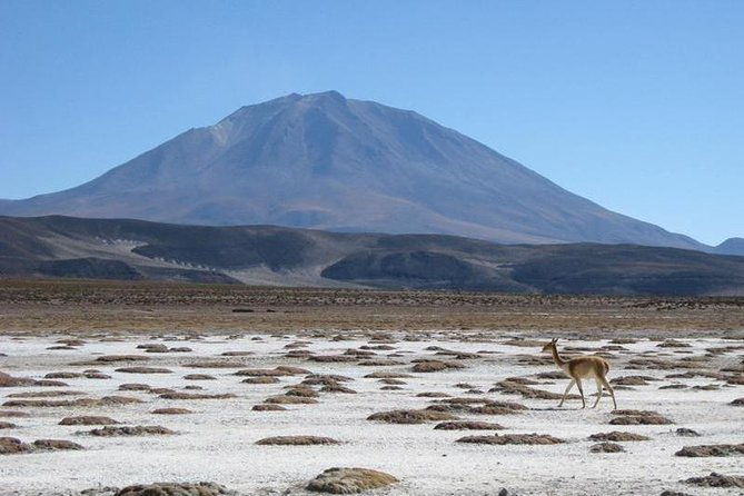salar-de-uyuni-with-lodging-2-full-days-with-minor-lagoons