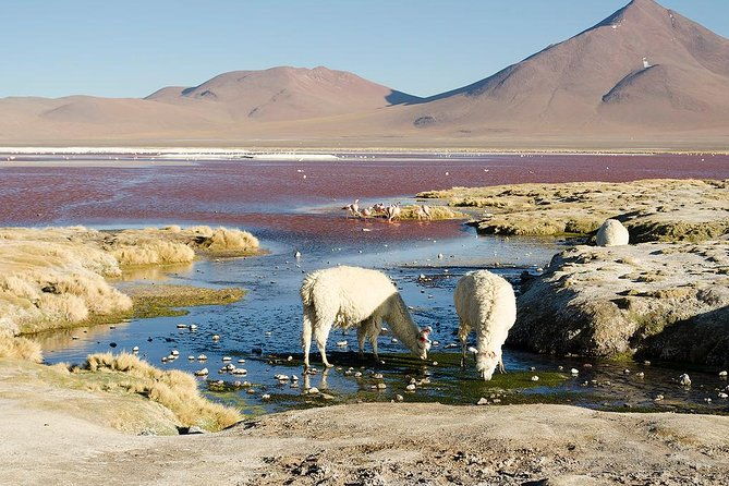 salar-de-uyuni-with-lodging-2-full-days-with-minor-lagoons