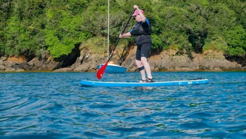 Salcombe: Group Stand Up Paddleboarding Tour - Key Points