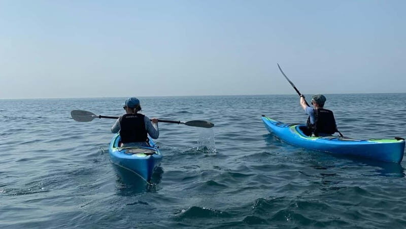 Salcombe: Harbour Hero Sea Kayak Tour - Key Points