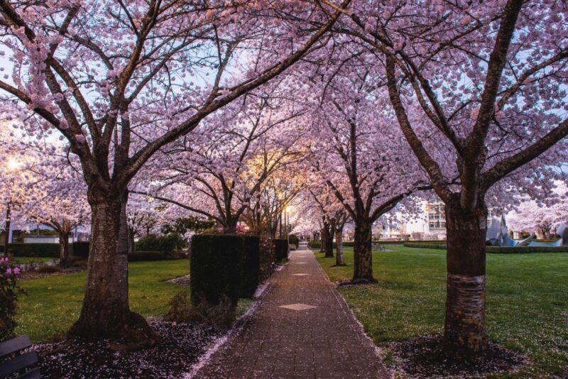 salem-witch-trial-walking-tour
