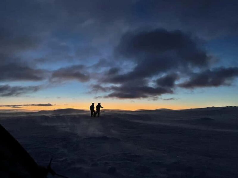 Sälen: Northern Lights Snowshoe Adventure with Pickup - Who Will Love This Tour?