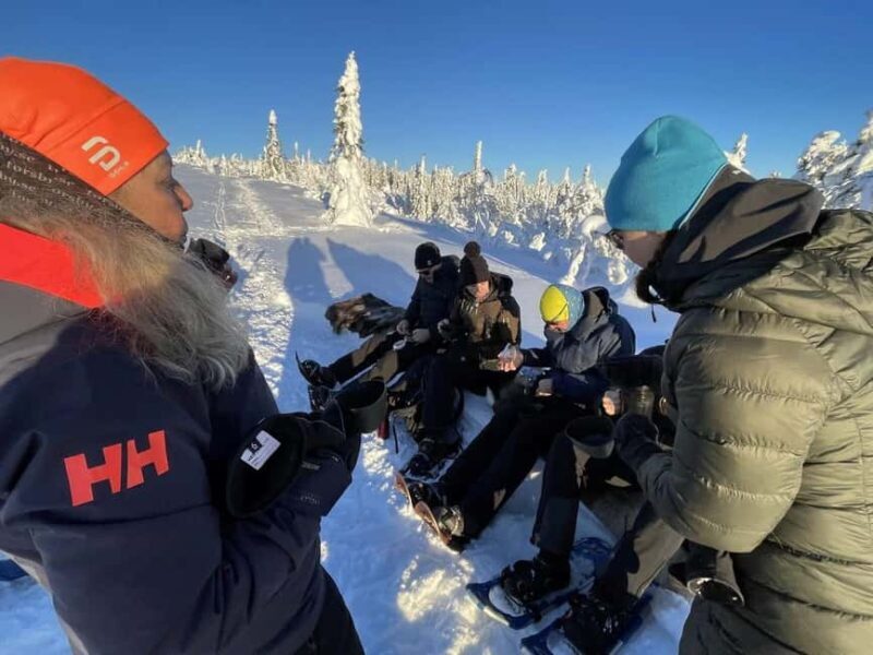 Sälen: Snowshoe Rental - Exploring Sälen: Snowshoe Rental — An Authentic Winter Adventure