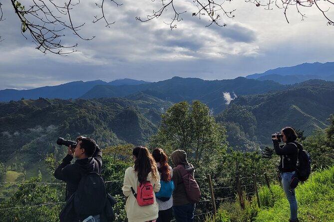 salento-birding-route-of-the-raptors