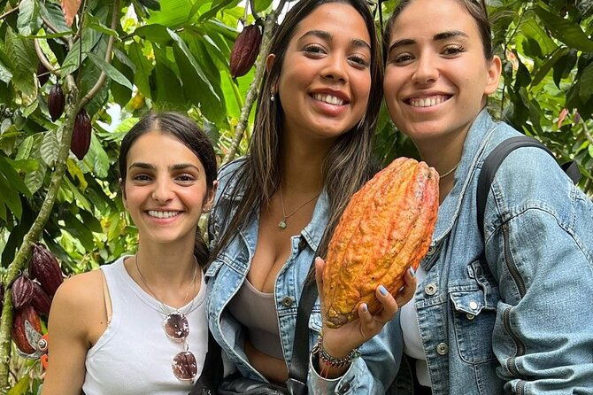 salento-cocora-and-cacao-chocolate-tour-from-pereira-armenia