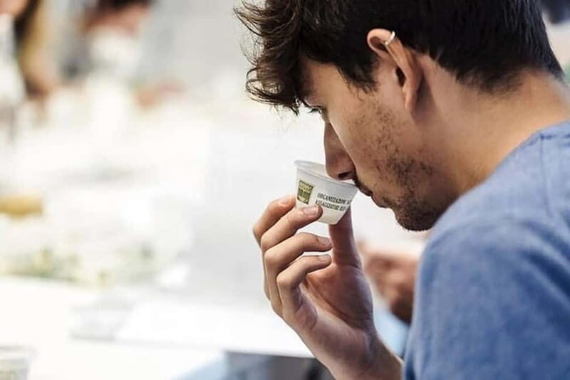 Salento: Olive Oil Mill Walking Tour with Tastings - Final Thoughts