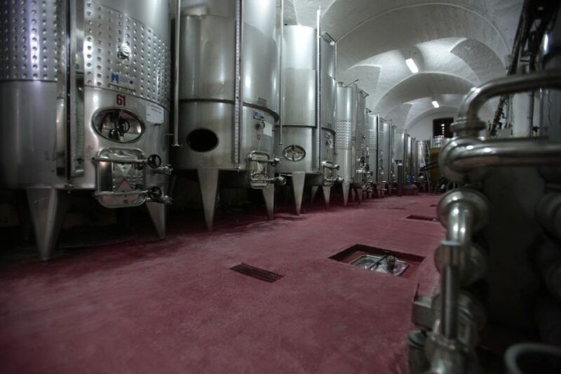 salento-winery-tour-and-tasting