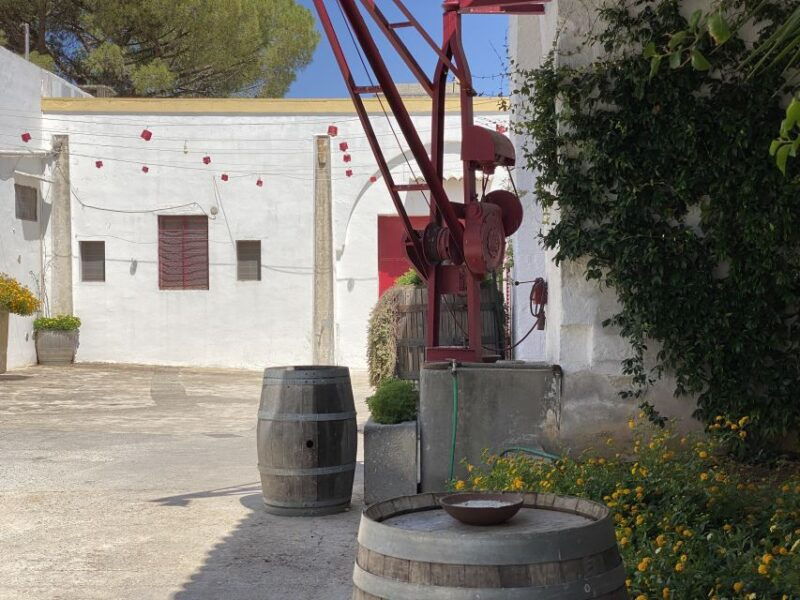 salento-winery-tour-and-tasting