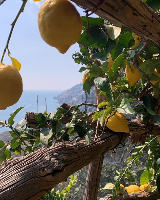 salerno-easy-hiking-path-of-lemons-maiori-and-minori
