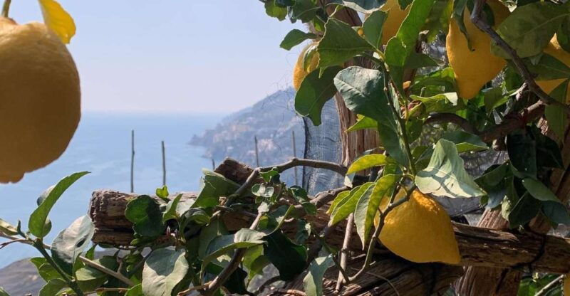 salerno-easy-hiking-path-of-lemons-maiori-and-minori