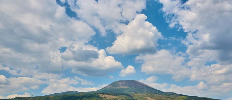 Salerno: Mount Vesuvius and Pompeii Day Trip with Transfers - The Sum Up