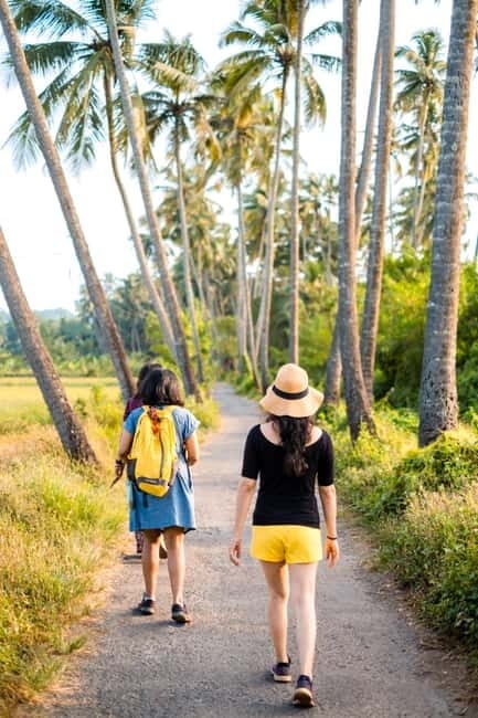 Saligao: Village Saunter through Saligao - Key Points