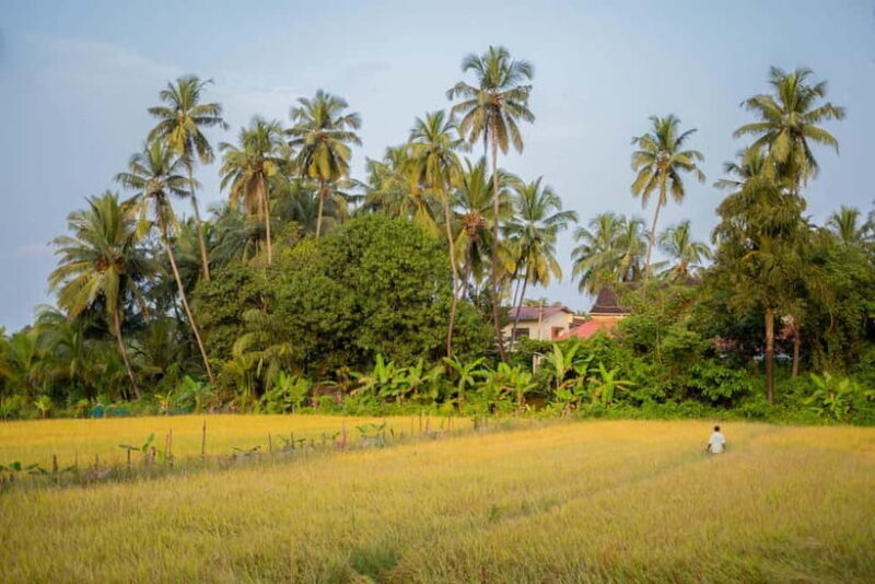 Saligao: Village Saunter through Saligao - Who Should Consider This Tour?