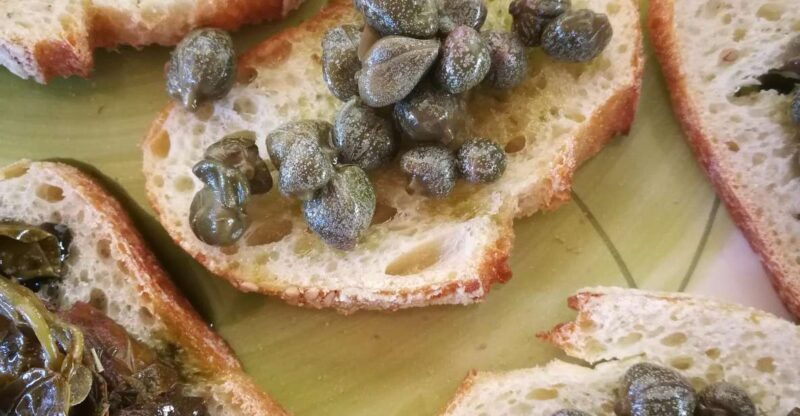 salina-capers-experience