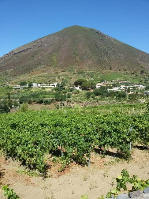 Salina: Private tour of the Aeolian Islands' greenest island - Discovering Salina: A Private Tour of the Aeolian Islands’ Greenest Gem