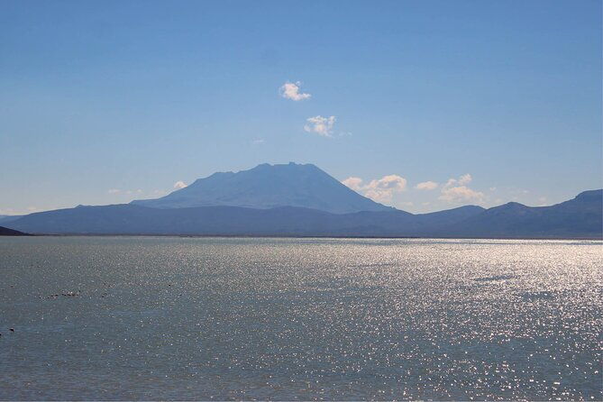 salinas-and-aguada-blanca-reserve-tour-from-arequipa