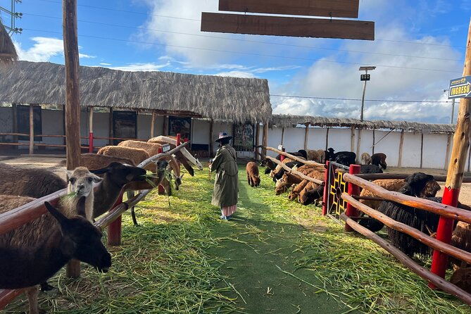 salineras-de-maras-moray-and-hands-of-the-community