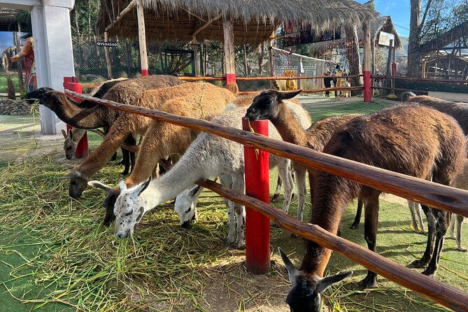 salineras-de-maras-moray-and-hands-of-the-community