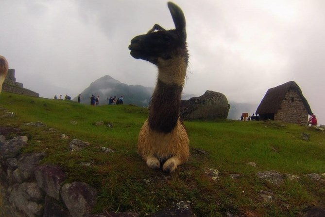 salkantay-trek-5d-4n