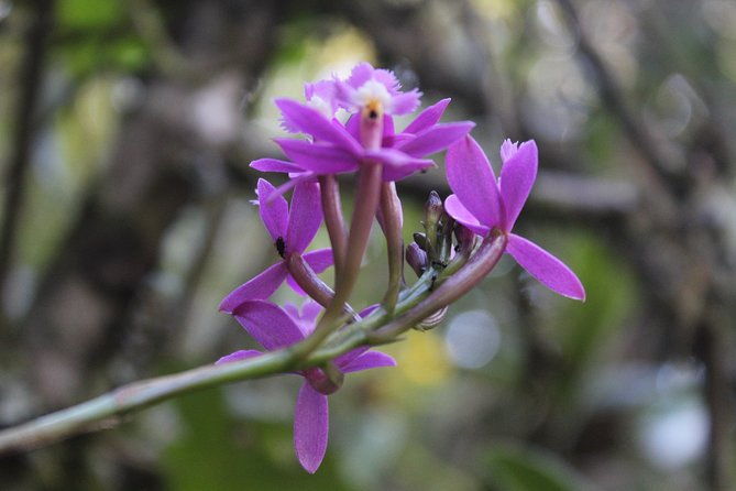 salkantay-trek-inca-trail-to-machu-picchu-7d-6n