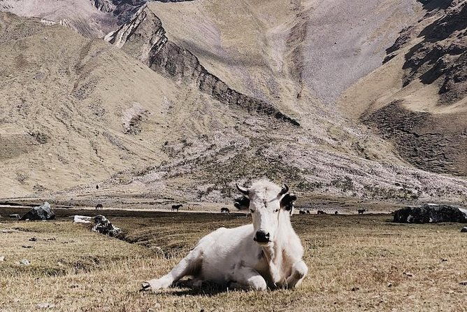 salkantay-trek-to-machu-picchu-5-days