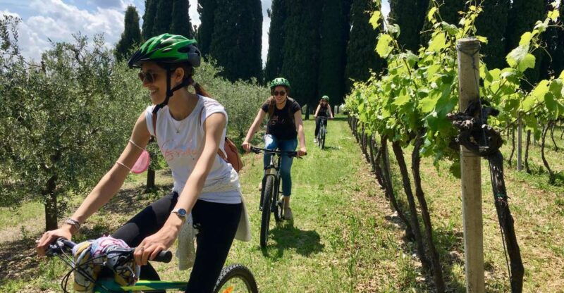 salo-e-bike-tour-with-wine-tasting-on-valtenesi-hills