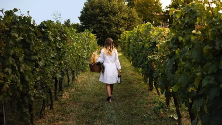 salo-tasting-of-4-valtenesi-wines-with-local-food