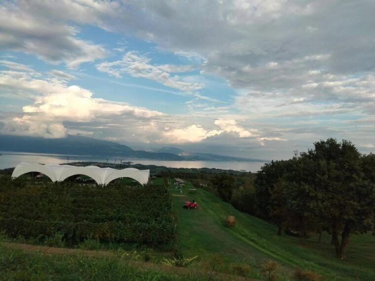 salo-tasting-of-4-valtenesi-wines-with-local-food