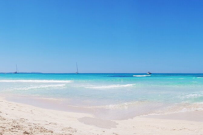 salobrar-natural-park-es-trenc-beach