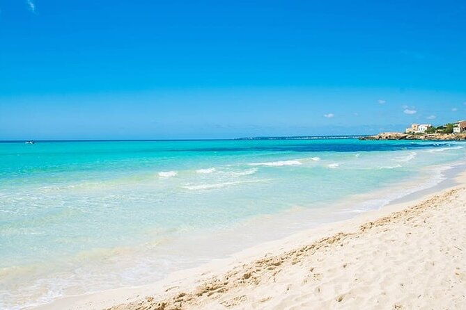 salobrar-natural-park-es-trenc-beach