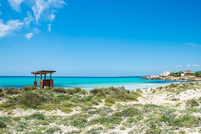 salobrar-natural-park-es-trenc-beach