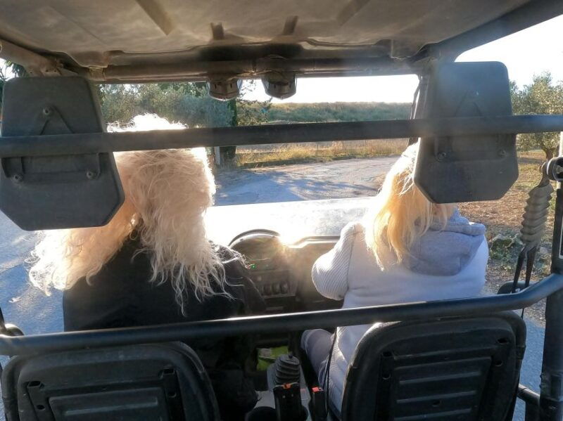 salou-buggy-safari-with-hotel-transfer