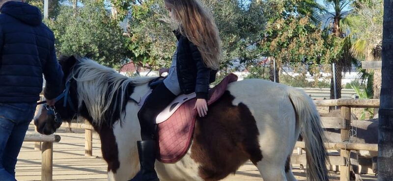 salou-cambrils-or-pineda-animal-farm-roundtrip-transfer