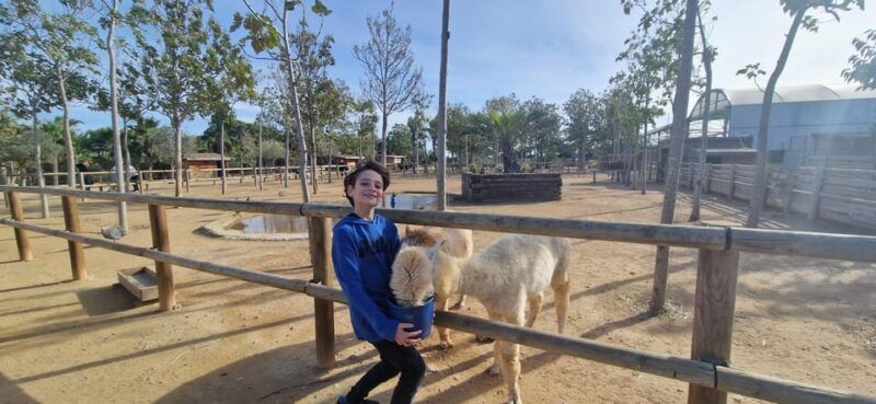 salou-cambrils-or-pineda-animal-farm-roundtrip-transfer