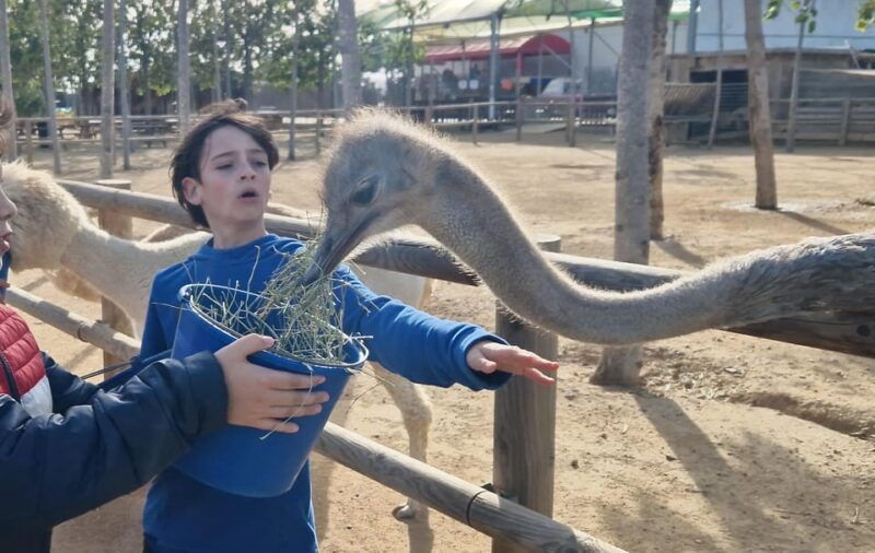 salou-cambrils-or-pineda-animal-farm-roundtrip-transfer