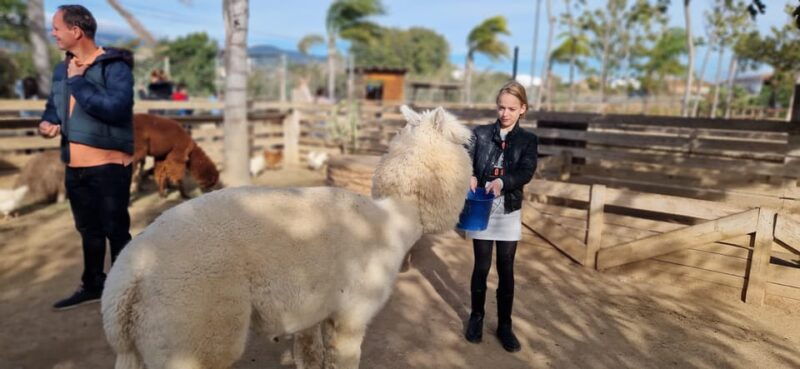 salou-cambrils-or-pineda-animal-farm-roundtrip-transfer