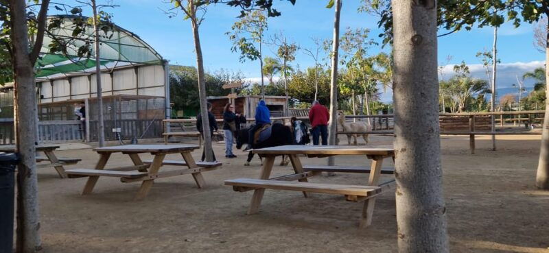 salou-cambrils-or-pineda-animal-farm-roundtrip-transfer