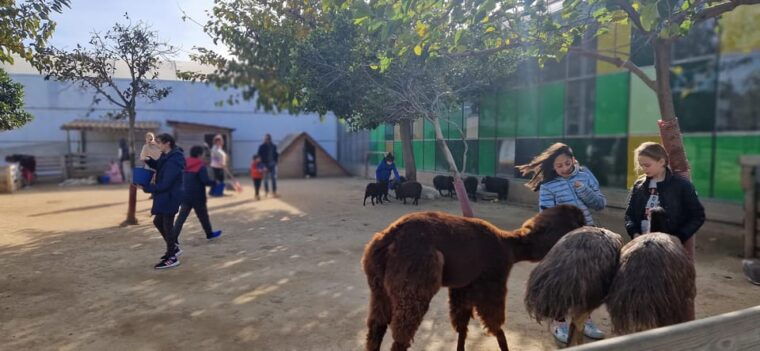 salou-cambrils-or-pineda-animal-farm-roundtrip-transfer