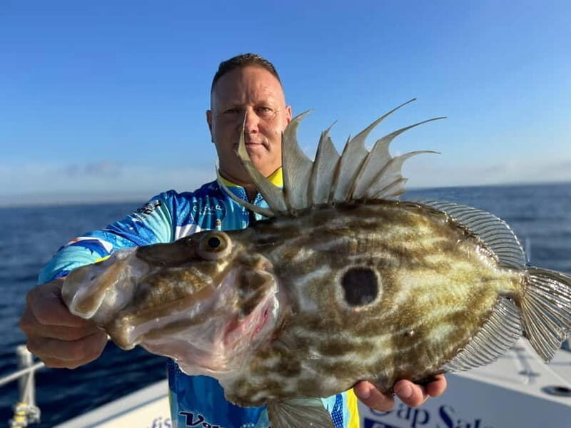 Salou: Hands-On Fishing Trip with Swimming at Sea - Authentic Experiences and Guest Feedback  